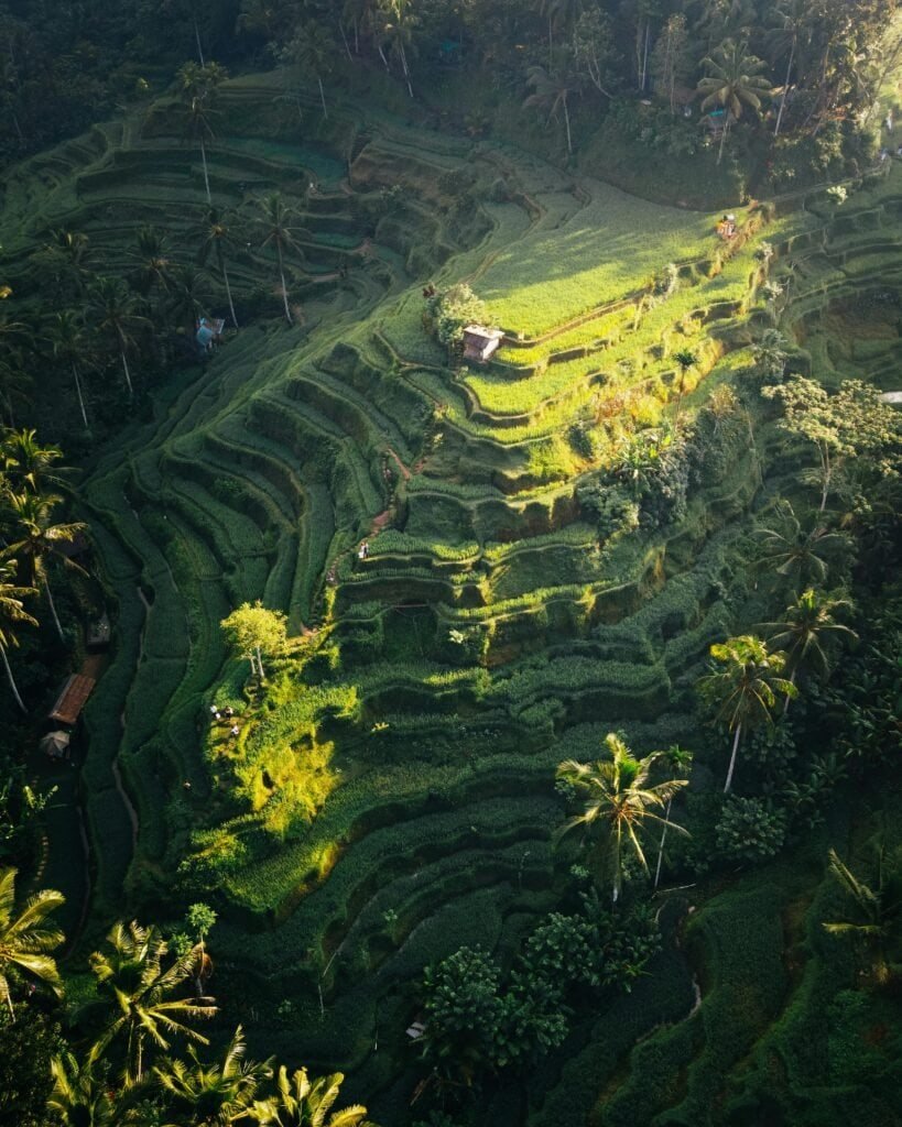 Good Destino Bali 3 Bali Unplugged: A Journey Through Temples, Jungles, and Tranquility Mount Batur sunrise trek in Bali – travelers hiking an active volcano with panoramic island views