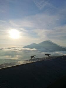 Tirta Gangga Water Palace Bali – historic royal site surrounded by lotus ponds and natural springs
