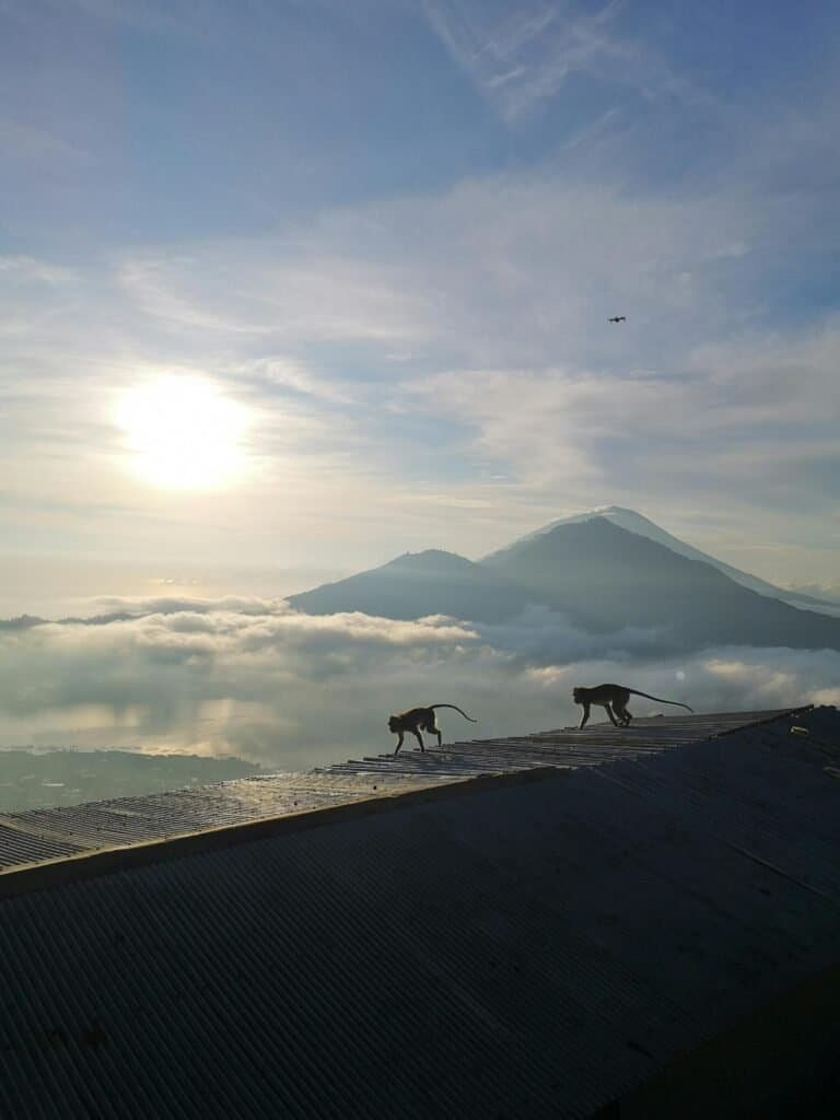 Good Destino bali 4 Bali Unplugged: A Journey Through Temples, Jungles, and Tranquility Tirta Gangga Water Palace Bali – historic royal site surrounded by lotus ponds and natural springs