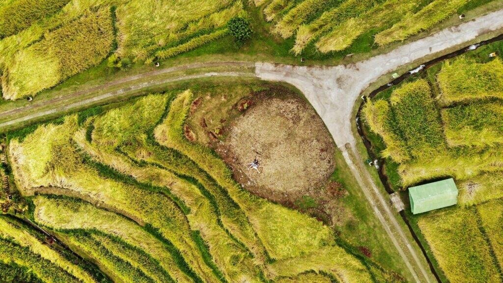 pexels betchtyblades 2480616 Bali Unplugged: A Journey Through Temples, Jungles, and Tranquility Bali travel guide aerial view of tropical beach and jungle