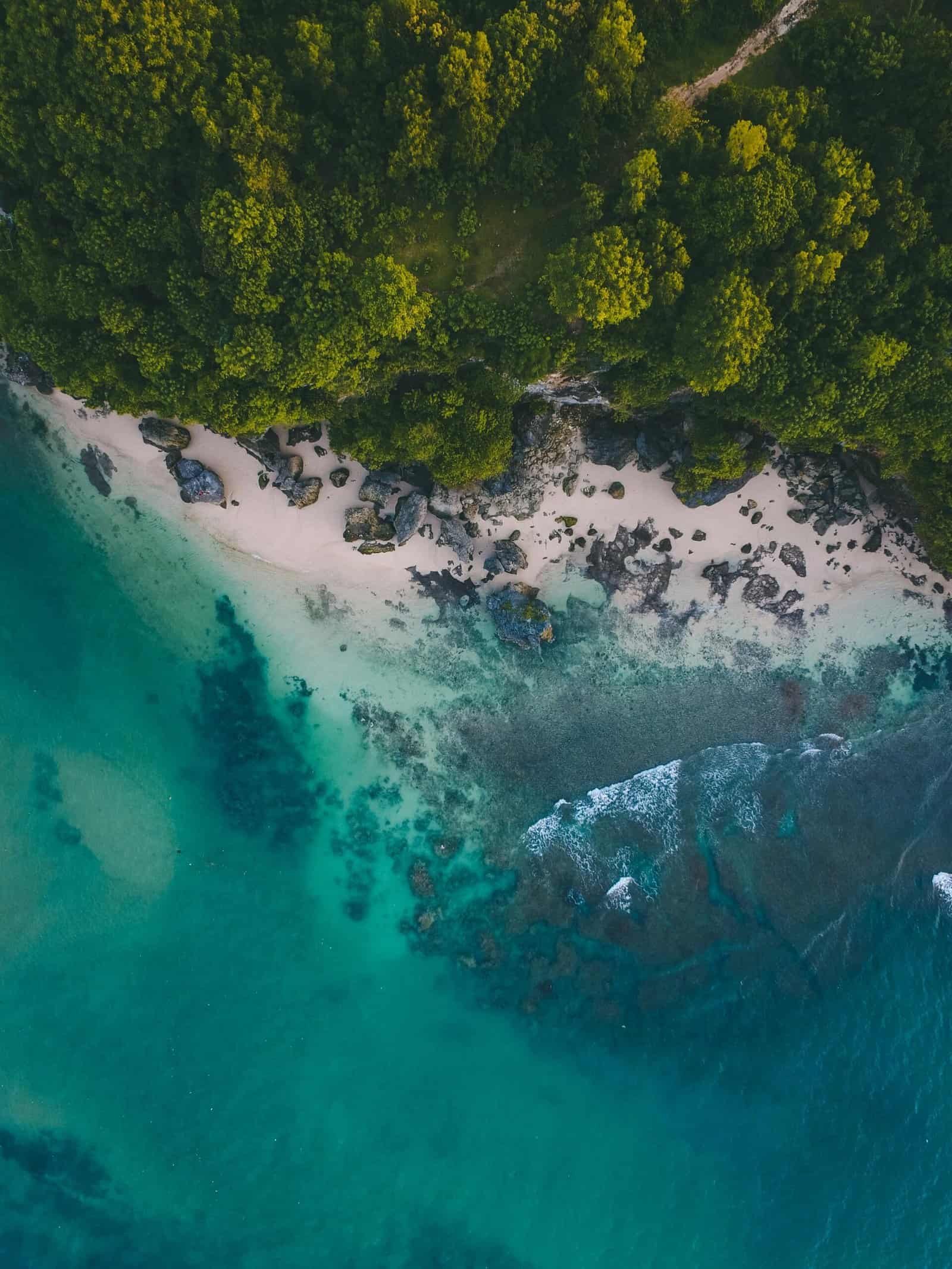 Bali Unplugged: A Journey Through Temples, Jungles, and Tranquility