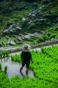 Banaue Rice Terraces Philippines green mountains