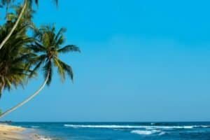 Beautiful Beach Sri Lanka Sri Lanka Travel Guide 2025 – Best Places to Visit & Top Things To Do Beautiful Beach Sri Lanka