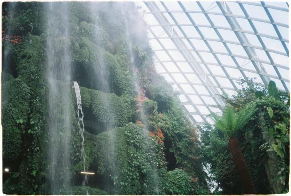 Cloud Forest Dome waterfall inside Gardens by the Bay Singapore Singapore Travel Guide 2025 | Top Attractions, Food & Things To Do in the Lion City Cloud Forest Dome waterfall inside Gardens by the Bay Singapore