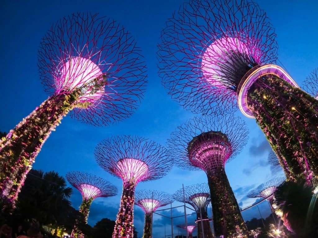 Gardens by the Bay Supertree Grove illuminated at night Singapore Travel Guide 2025 | Top Attractions, Food & Things To Do in the Lion City Gardens by the Bay Supertree Grove illuminated at night
