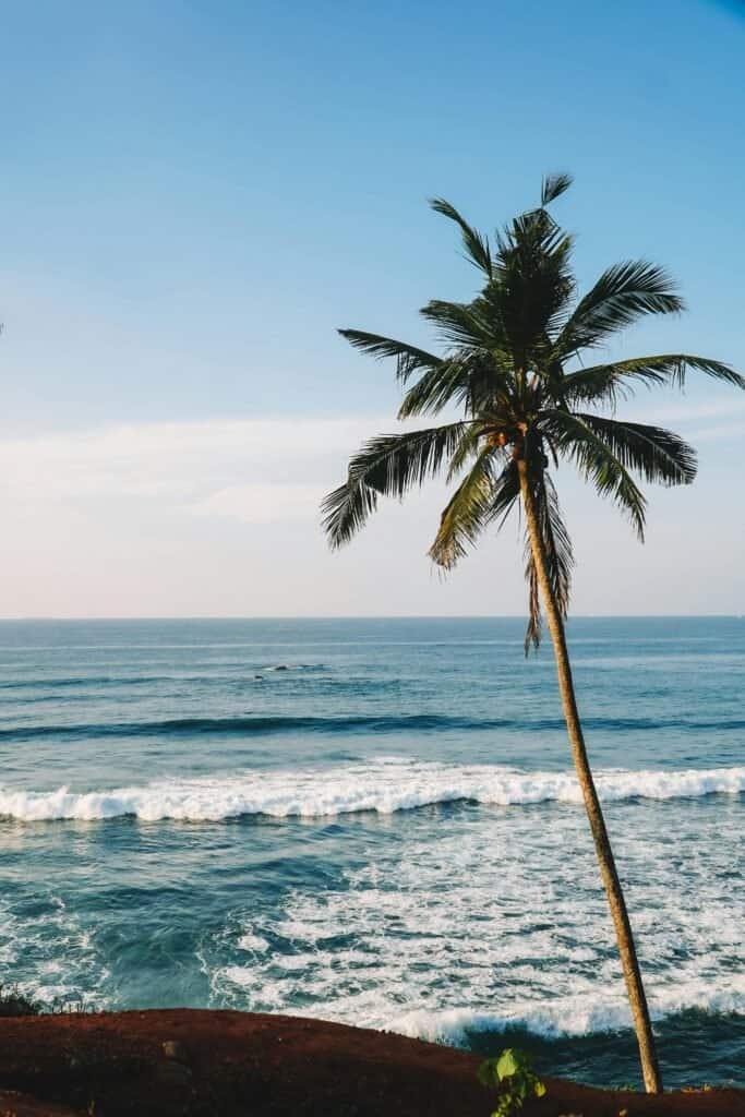 Mirissa Beach whale watching Sri Lanka Travel Guide 2025 – Best Places to Visit & Top Things To Do Mirissa Beach whale watching Sri Lanka
