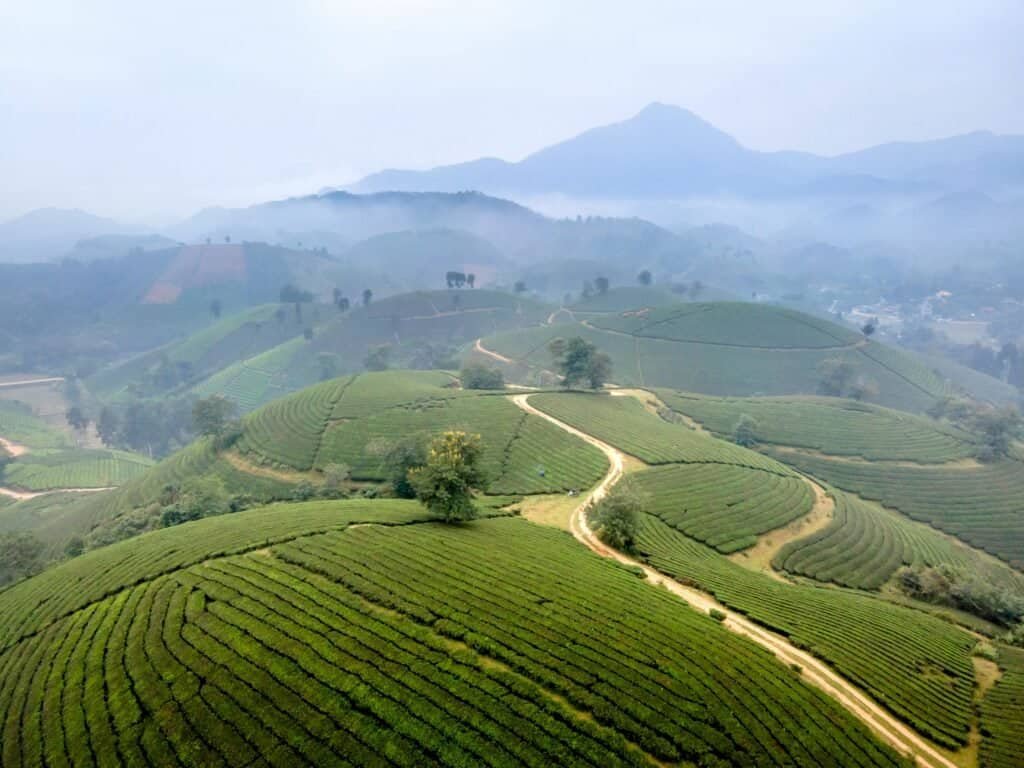 Sapa terraced rice fields with foggy mountains in the background Vietnam Travel Guide 2025 | Top Places to Visit, Things to Do & Travel Tips Sapa terraced rice fields with foggy mountains in the background.