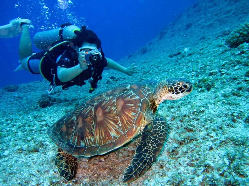 Tourist snorkeling near coral reef Mauritius Mauritius Travel Guide: A Tropical Paradise Beyond Imagination Tourist snorkeling near coral reef Mauritius