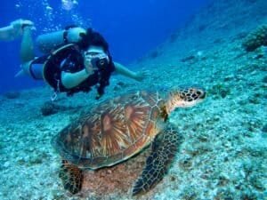 Tourist snorkeling near coral reef Mauritius