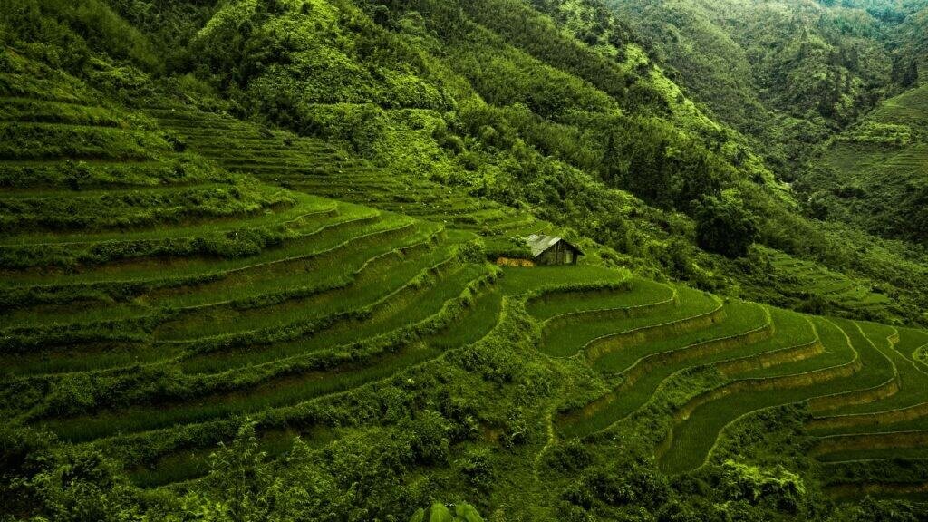 Vietnam Travel Guide Vietnam Travel Guide 2025 | Top Places to Visit, Things to Do & Travel Tips Vietnam Travel Guide 2025 Good Destino