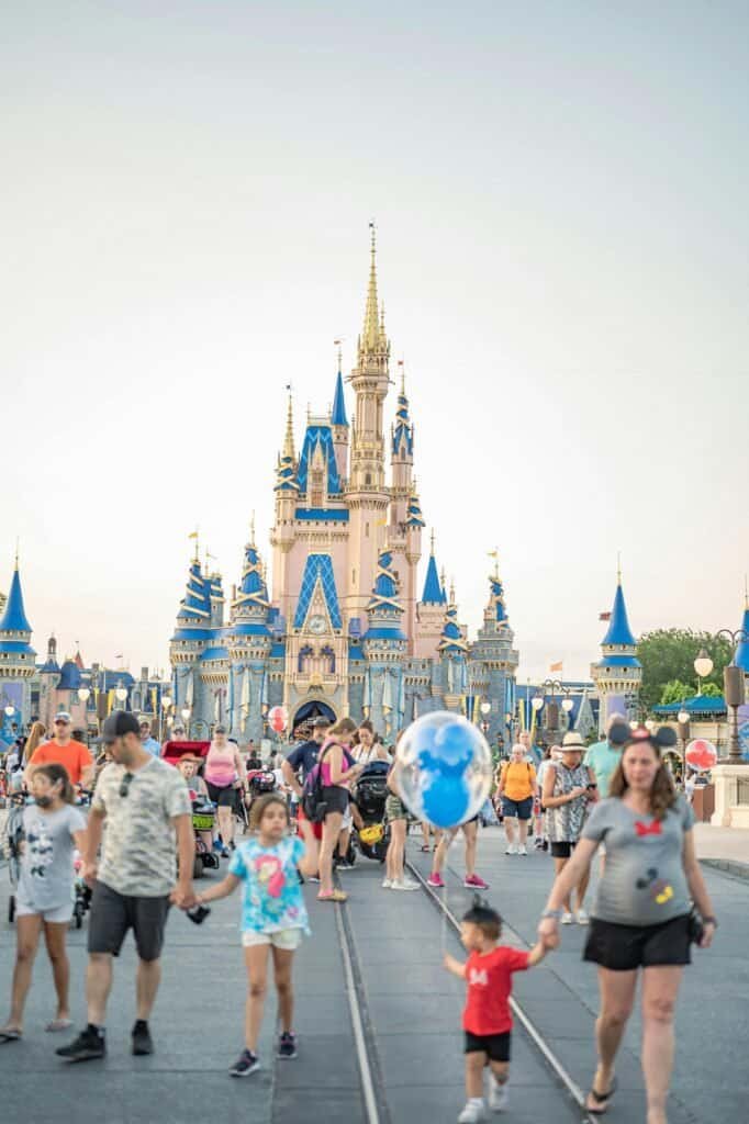 People Walking Near Disney Castle