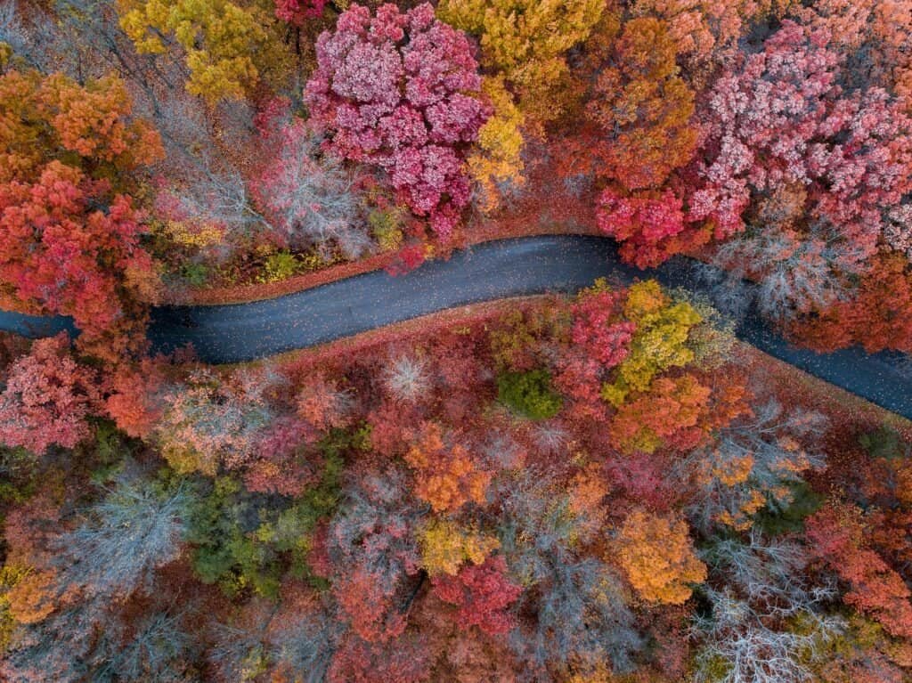 Aerial Photograph of Concrete Road Between Trees, Holly, MI, United States