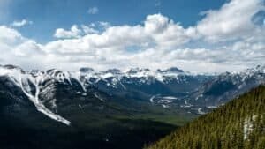 Aerial View of Green Trees, Canada