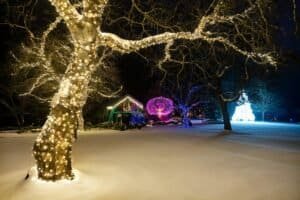 Beautiful Christmas lights over fresh snow, Brentwood Bay, BC, Canada