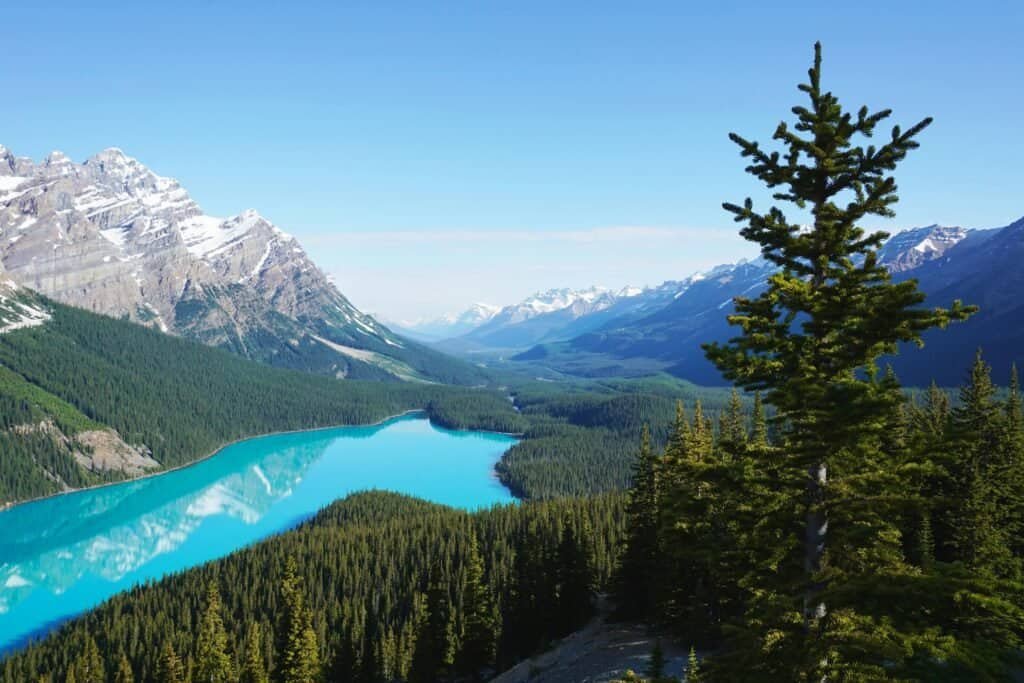 discover-the-alarming-canada-festivals-events-calendar-2026