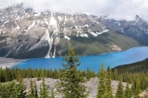 Green Pine Trees Near Snow Covered Mountain, Canada
