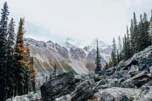 Green Trees on Rocky Mountainside, Canada