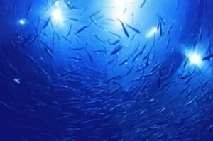 Ripley’s Aquarium of Canada, Toronto, Canada