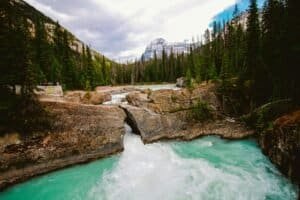 River Surrounded by Green Pine Trees, Canada