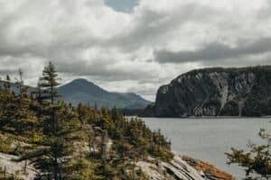 Rock Formation with Trees in Gros Morne National Park, Canada