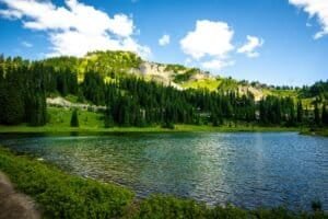 Scenic Summer Landscape with River Rainier WA United States USA Visa Guide 2026 - Everything You Need to Know Before Applying for a US Tourist Visa Scenic Summer Landscape with River, Rainier, WA, United States