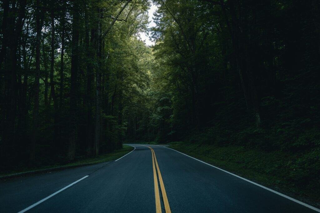 Serene Forest Road in Gatlinburg's Summer Greenery, Gatlinburg, Tennessee, United States