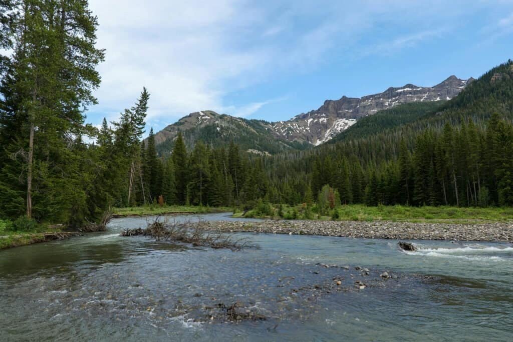 Serene River in the Mountains of Yellowstone, USA