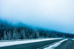 Smoky Forests, Glacier, BC, Canada