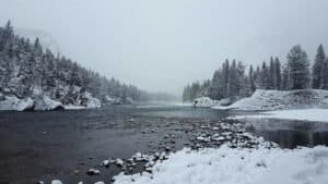 Snow Covered Trees Near the River, Banff, Canada
