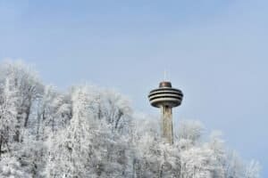 Snow Covered Trees with tall tower, NF, Canada
