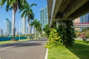 Street View with Skyscrapers and Palm Trees, Miami, USA