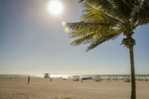 Sunny Day, Miami Beach, Miami, United States