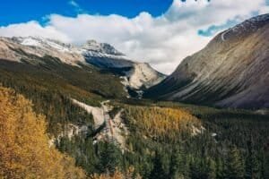 Tall Trees near High Mountains, Jasper, AB, Canada