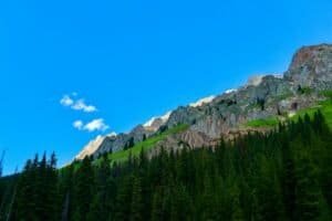 Trees near a Mountain, Kananaskis, AB, Canada