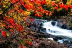 Waterfalls During Fall Season, Dwight, ON, Canada