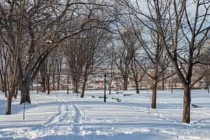 Winter Park in Québec City with Snow and Trees, Québec, Canada