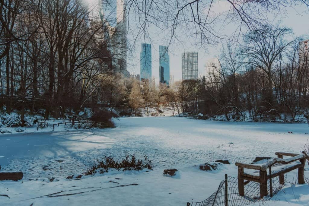 Winter Wonderland in Central Park, New York City, USA
