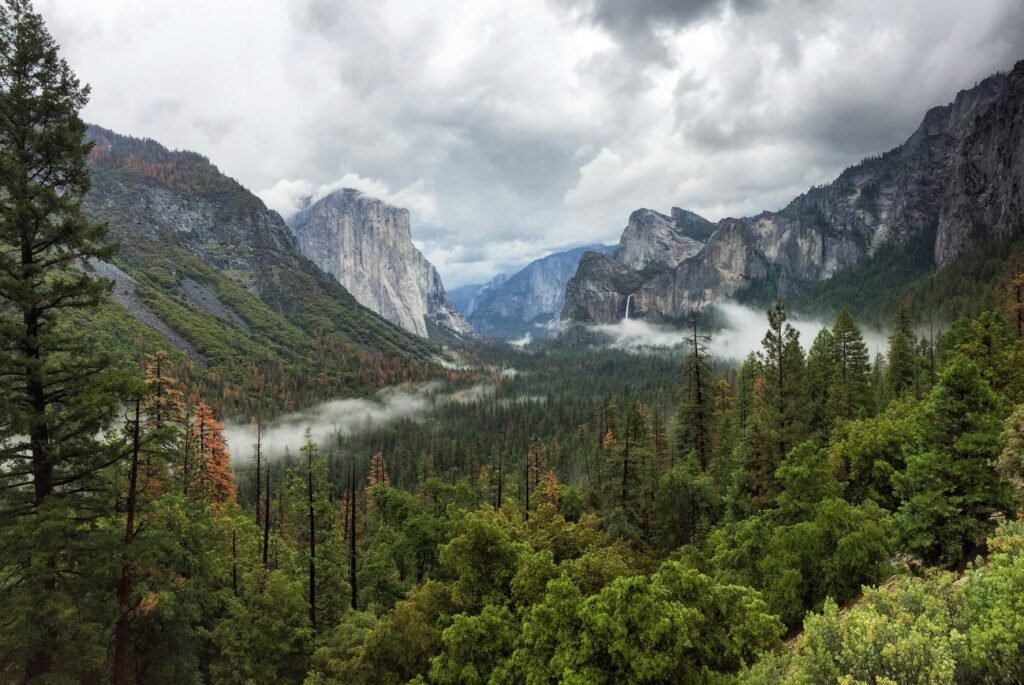 Yosemite Valley, CA, United States