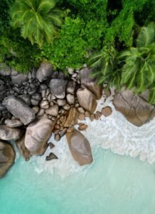 Aerial View of Tropical Beach with Palm Trees, Seychelles