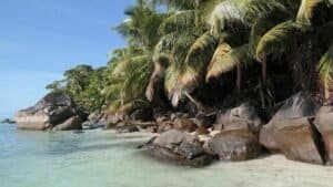 Big Rocks Near Green Palm Trees on the Shore of a Beach, Seychelles
