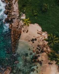 Drone Shot of a Beach with Palm Trees, Seychelles