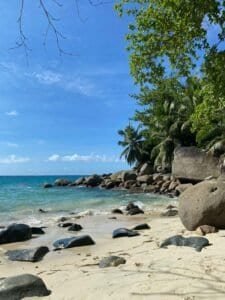 Green Trees Near Rocky Shore, Seychelles