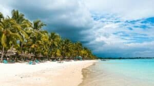 Palm Trees on Sandy Beach of Exotic Island, Trou-aux-Biches, Pamplemousses District, Mauritius
