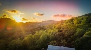 Photo of Trees During Golden Hour, Anse Royale, Seychelles
