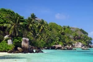 Seashore with lush green vegetation, Seychelles
