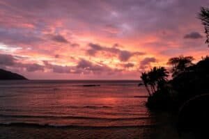Silhouette of Palm Trees Near Body of Water during Sunset, Seychelles