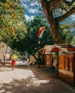 Sunlit Alley under Trees, Seychelles
