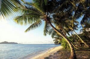 Tropical Beach Paradise with Palm Trees in Seychelles