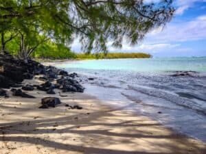 Tropical Beach with Lush Greenery in Mauritius