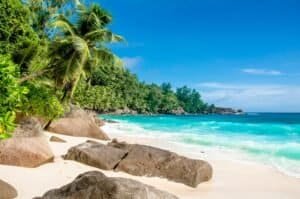 Tropical Paradise Beach with Palm Trees and Azure Waters, Seychelles